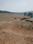 Open land Main Image 1