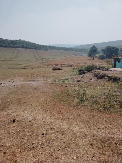 Open land Main Image 1