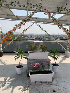 Image of Purplewalls girls PG in Sector 23A, Gurgaon