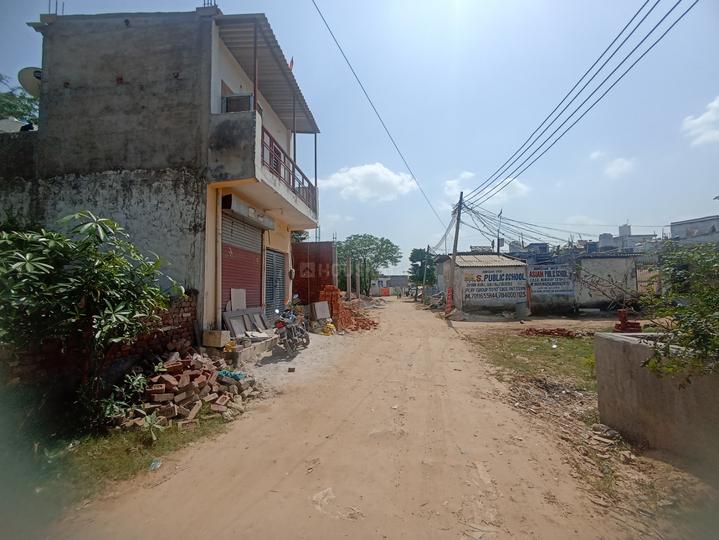 Royal green society Main Image 1