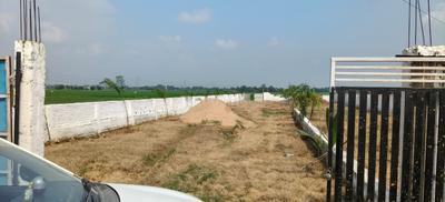 Bihta Plot View 1
