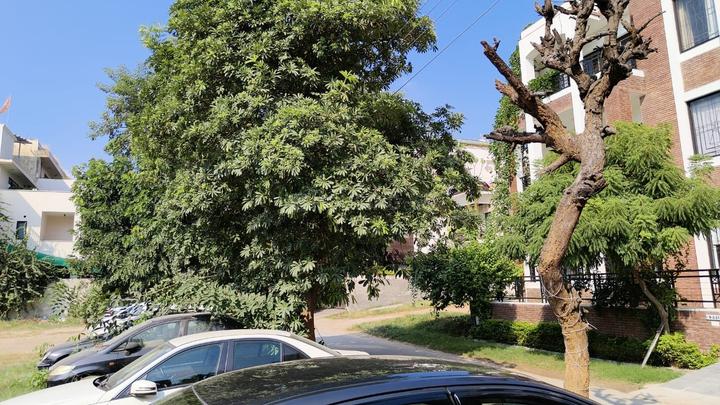 Sector 45 Main Image 1