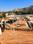 Nevta Village Plot View 2