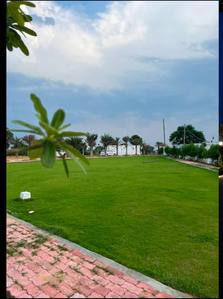 Image of 1350 Sq.ft Residential Plot / Land for sale in Farukh Nagar, Gurgaon for Rs. 13500000