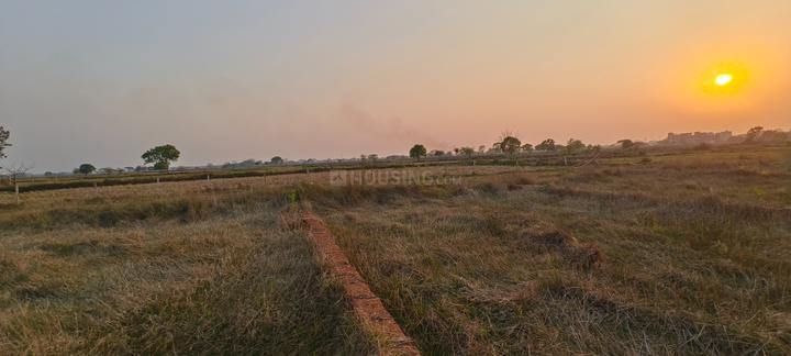 Patrapoda Main Image 1