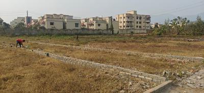 Samta Nagar Dimna Plot View 2