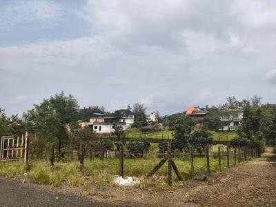 Residential Plot