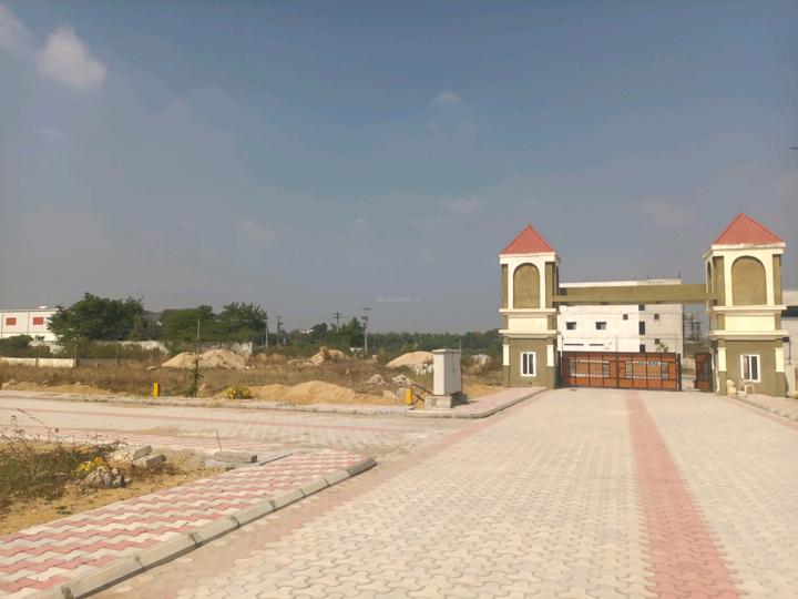 Mypi Lush Green Main Image 1