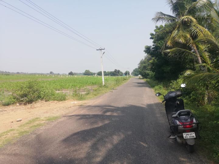 10000 Sqft Agricultural Land for Sale in Agaram, Dindigul Property ID