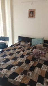 Bedroom Image of 740 Sq.ft 3 BHK Apartment / Flat for sale in ROF Aalayas Phase 2, Sector 102 Gurgaon for Rs. 8285000