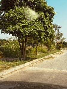 Image of 475 Sq.ft Residential Plot / Land for sale in New Chandigarh, Chandigarh for Rs. 57500000