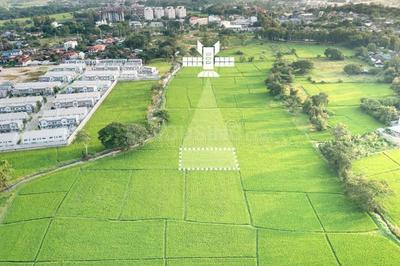 Residential Plot