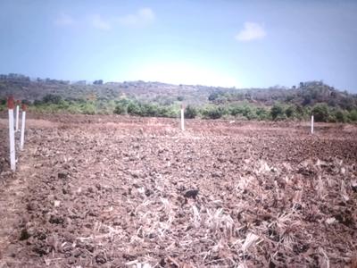 Residential Plot