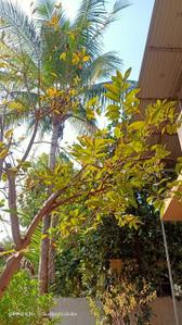 Balcony Image of 830 Sq.ft 2 BHK Villa for sale in Shelu Thane for Rs. 7200000