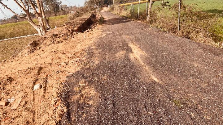 Mamta pailace boring road patna Main Image 1