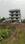 Labhandih Main Image 1