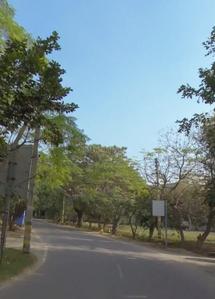 Image of 420 Sq.ft Residential Plot / Land for sale in DLF Phase 1, Gurgaon for Rs. 160000000