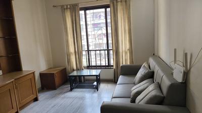 Ashok Vihar Living Room 1