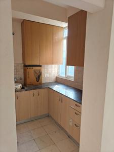Kitchen Image of 805 Sq.ft 1 BHK Apartment / Flat for rent in Amrapali Dream Valley, Noida Extension Greater Noida for Rs. 18000