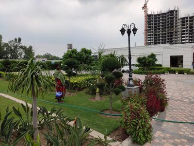 Image of 1150 Sq.ft 2 BHK Apartment / Flat for sale in Ambika Florence Park, New Chandigarh, Chandigarh for Rs. 11000000