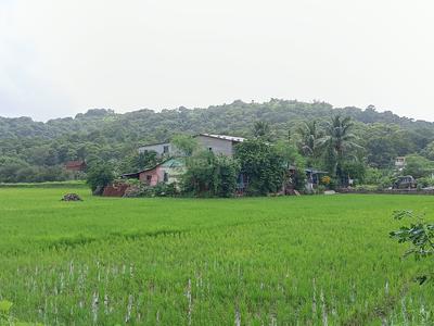 Residential Plot