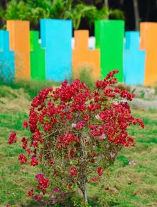 Image of 167 Sq.ft Residential Plot / Land for sale in Vaarahi Airport Residences II, Bhogapuram, Visakhapatnam for Rs. 3256500