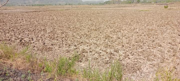 Dronagiri Main Image 1