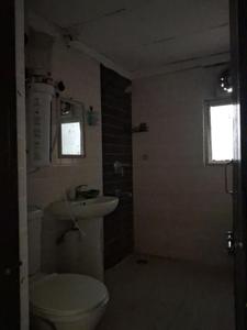 Common Bathroom Image of 1300 Sq.ft 3 BHK Apartment / Flat for sale in Amrapali Zodiac, Sector 120 Noida for Rs. 11400000