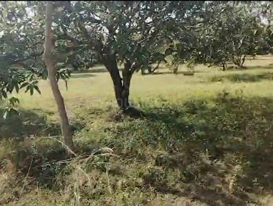 Image of 875000 Sq.ft Residential Plot / Land for sale in Mulbagal, Kolar for Rs. 500000000