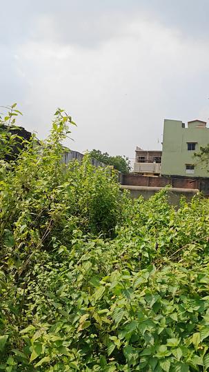 Ripit colony Main Image 1