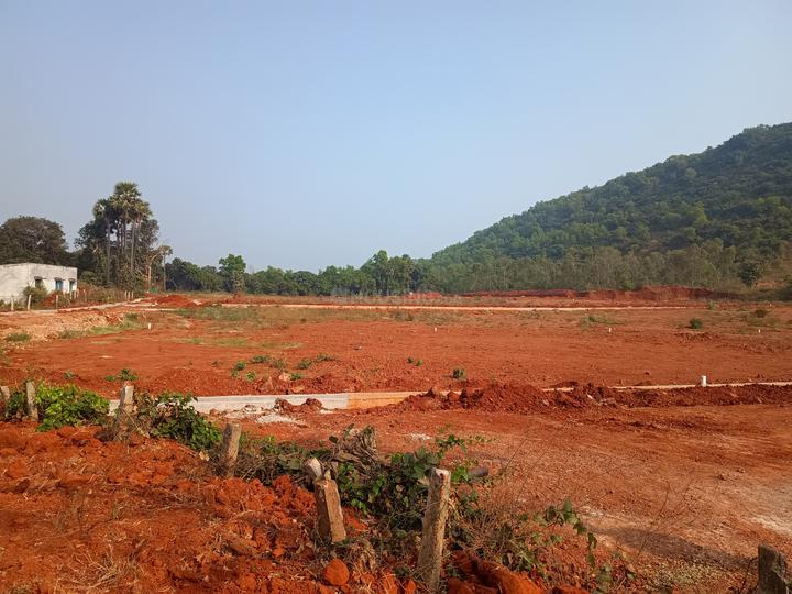 Paradesipalem Main Image 1