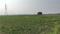 Khusrupur Plot View 2