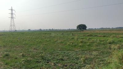 Khusrupur Plot View 2