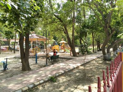 Playing Area Image of 4531 Sq.ft Residential Plot / Land for sale in Lotus Celestia, Sector 23 Gurgaon for Rs. 112500000
