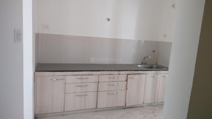 Blue Diamond Dilpasand Green Main Image 1