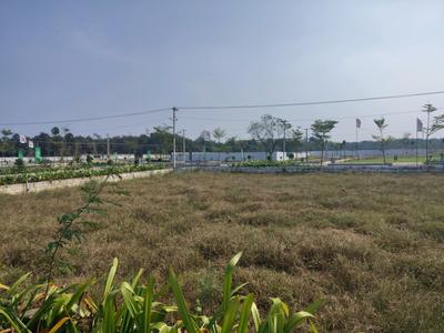 Residential Plot