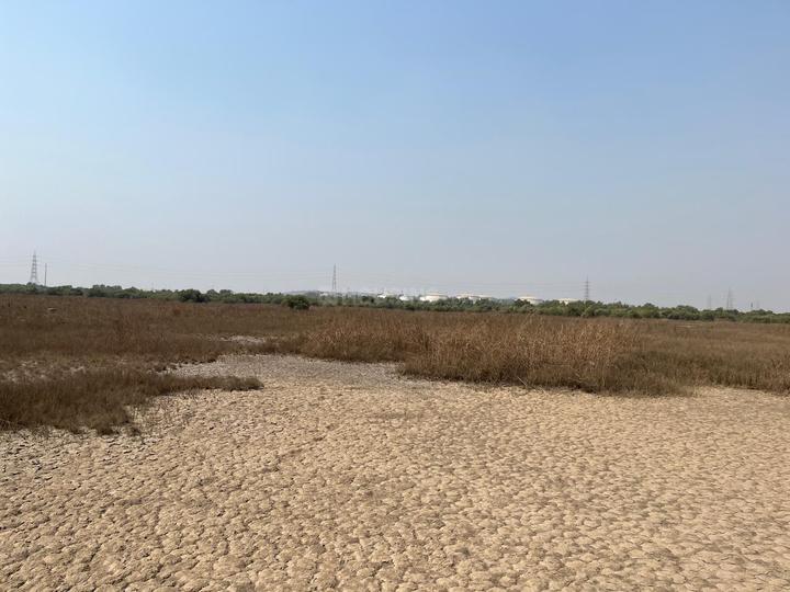 Vindhane Main Image 1