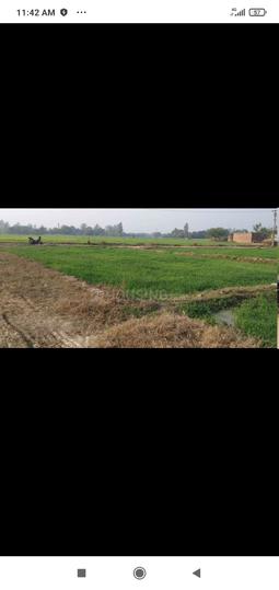 Shivari Main Image 1