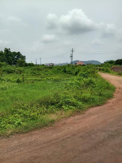 Patharagadia Main Image 1