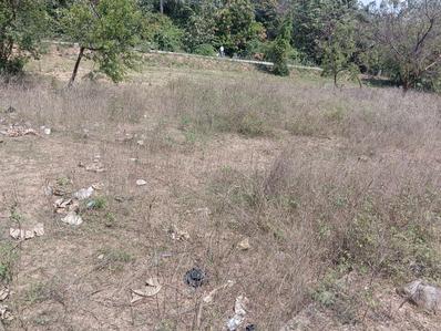 Residential Plot
