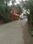 Vriddhica Heritage Plots Internal Roads 1