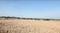 Vindhane Plot View 2