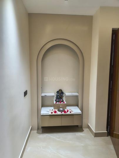 Amolik Aster Woods Main Image 1