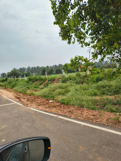 IOB Colony, Vadavalli Main Image 1