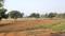 Bhogapuram Plot View 2