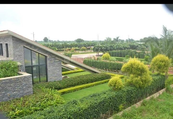 Swastik Kalpvriksh Main Image 1