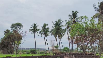 Residential Plot