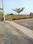 Ramavarapadu Plot View 2