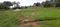 Namkum Plot View 2