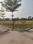 EDUCATION CITY Plot View 2